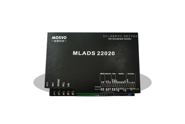 MLADS 22020